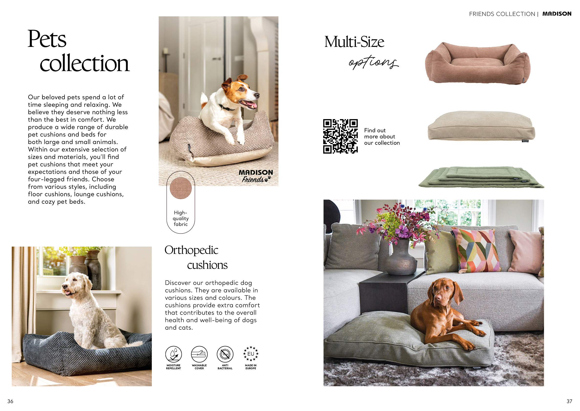 Page 36 & 37