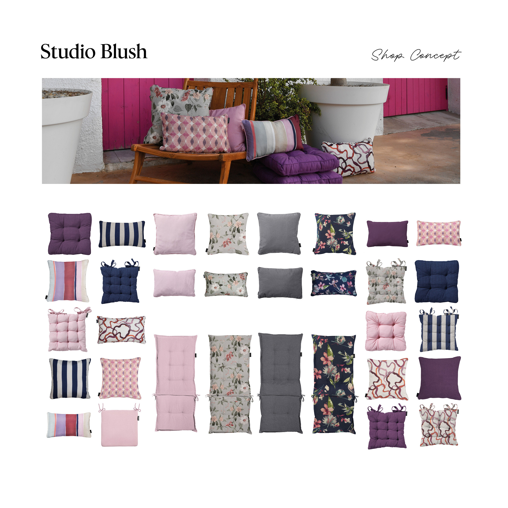 Studio Blush 4 metre plan